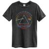 T-shirt Amplified Clothing 1972 Tour
