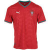 T-shirt Puma FPF Home Jersey Replica