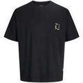 Tee-shirts sur Grenoble : T-shirt Jack & Jones 192839VTPE26