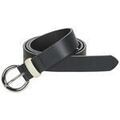 Ceintures sur Grenoble : Ceinture Levis Larkspur