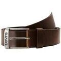 Ceintures sur Grenoble : Ceinture Levis New Duncan
