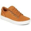 Baskets homme sur Grenoble : Baskets basses Timberland ADV 2.0 CUPSOLE ALPINE OX