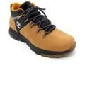 Bottes homme sur Grenoble : Bottes Timberland TB0A2QZE 231