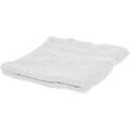 Serviettes et gants de toilette Towel City RW1586 Grenoble