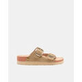 Mules femme sur Grenoble : Mules Gioseppo 74604 P CEDARBURG