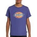 Tee-shirts sur Grenoble : T-shirt Dickies Skipper