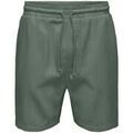 Shorts/Bermuda sur Grenoble : Short Only & Sons Trev