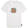 Tee-shirts sur Grenoble : T-shirt Puma Graphics Spritz Tee