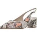 Chaussures &agrave; talons femme sur Grenoble : Chaussures escarpins Dibia 5615