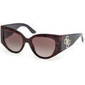 Lunettes sur Grenoble : Lunettes de soleil Guess GU00202 Lunettes de soleil, Havana/Marron, 54 mm