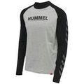 Tee-shirts sur Grenoble : T-shirt hummel T-shirt Legacy Blocked gris