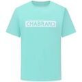 Tee-shirts sur Grenoble : T-shirt Chabrand T shirt homme Ref 68038 CO528 Jade