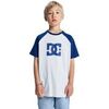 T-shirt enfant DC Shoes DC Corpo