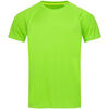 Maillots de corps Stedman AB343 Vert