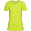 Tee-shirts sur Grenoble : T-shirt Stedman AB278