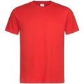 Tee-shirts sur Grenoble : T-shirt Stedman Classic