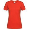 Tee-shirts sur Grenoble : T-shirt Stedman AB278