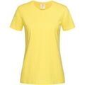 Tee-shirts sur Grenoble : T-shirt Stedman AB278
