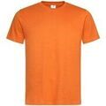 Tee-shirts sur Grenoble : T-shirt Stedman Classic