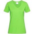 Tee-shirts sur Grenoble : T-shirt Stedman AB279