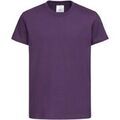 Tee-shirts sur Grenoble : T-shirt Stedman Classic