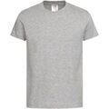 Tee-shirts sur Grenoble : T-shirt Stedman Classic