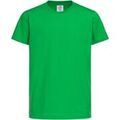 Tee-shirts sur Grenoble : T-shirt Stedman Classic