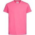 Tee-shirts sur Grenoble : T-shirt Stedman Classic