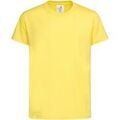 Tee-shirts sur Grenoble : T-shirt Stedman Classic