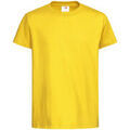Tee-shirts sur Grenoble : T-shirt Stedman Classic