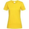 Tee-shirts sur Grenoble : T-shirt Stedman AB278