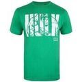 Tee-shirts sur Grenoble : T-shirt Marvel TV856
