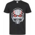 Tee-shirts sur Grenoble : T-shirt Marvel BI516