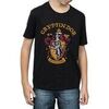 T-shirt enfant Harry Potter BI769