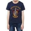 T-shirt enfant Harry Potter BI769