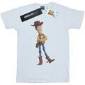 Tee-shirts sur Grenoble : T-shirt Disney BI52231