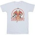 Tee-shirts sur Grenoble : T-shirt Dc Comics BI45304