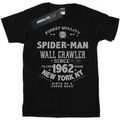 Tee-shirts sur Grenoble : T-shirt Marvel Finest Quality