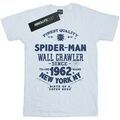Tee-shirts sur Grenoble : T-shirt Marvel Finest Quality
