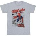 Tee-shirts sur Grenoble : T-shirt Marvel BI45501