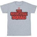 Tee-shirts sur Grenoble : T-shirt Dc Comics The Suicide Squad