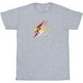 Tee-shirts sur Grenoble : T-shirt Dc Comics BI47964