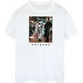 Tee-shirts sur Grenoble : T-shirt Friends Lunges