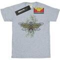 Tee-shirts sur Grenoble : T-shirt Dc Comics BI51712
