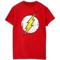 Tee-shirts sur Grenoble : T-shirt Dc Comics BI51847