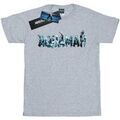 Tee-shirts sur Grenoble : T-shirt Dc Comics BI51938