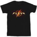 Tee-shirts sur Grenoble : T-shirt Dc Comics BI52149