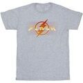 Tee-shirts sur Grenoble : T-shirt Dc Comics BI52149