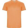 Tee-shirts sur Grenoble : T-shirt Roly Imola