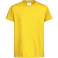 Tee-shirts sur Grenoble : T-shirt Stedman Classic